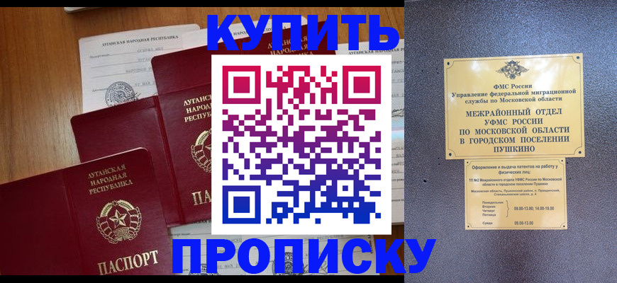 прописка в квартире в Почепе